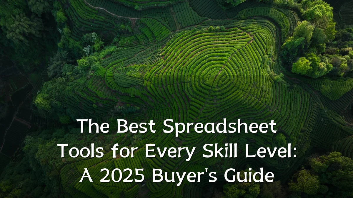 The Best Spreadsheet Tools for Every Skill Level: A 2025 Buyer's Guide