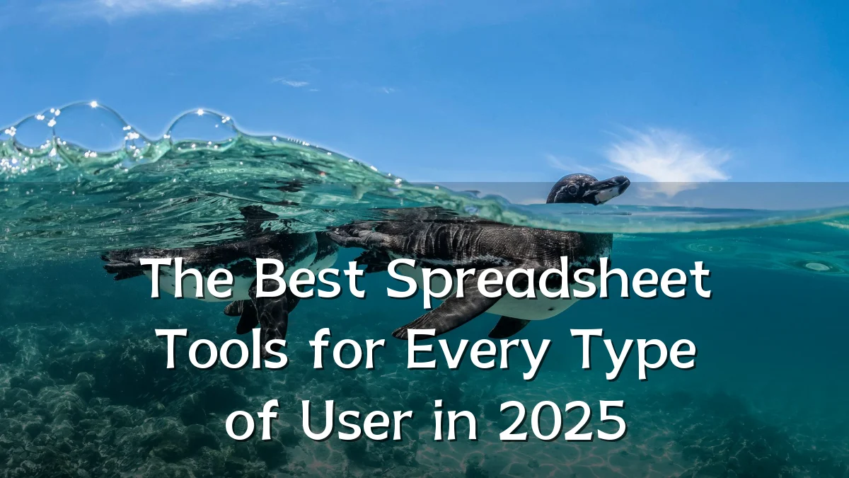 The Best Spreadsheet Tools for Every Type of User in 2025